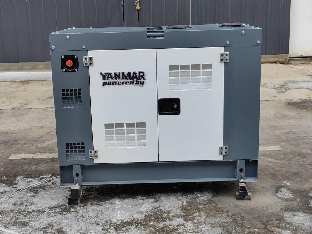 四川刘总12kw大泽洋马动力柴油发电机